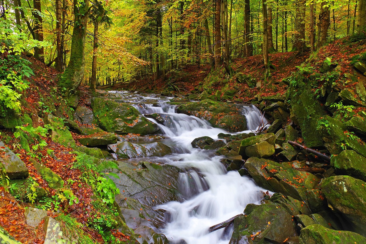 BIESZCZADY – brak miejsc, lista rezerwowa